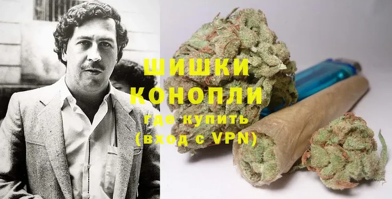 где купить наркотик  Шадринск  hydra tor  Каннабис OG Kush 